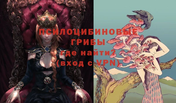 PSILOCYBIN Аркадак