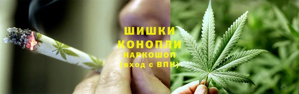 PSILOCYBIN Аркадак