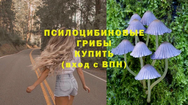 ALPHA PVP Армянск