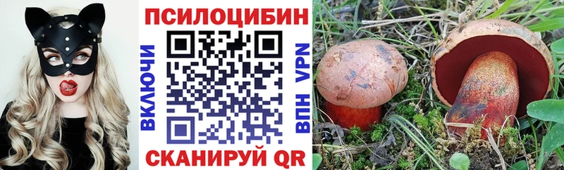 купить наркоту Талица Псилоцибиновые грибы Cubensis